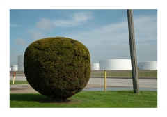 10154-•-Gary-Indiana