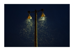 8922-•-Sault-Ste-Marie-Michigan