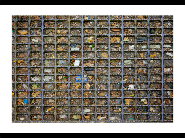 16319 • Chicago, Illinois