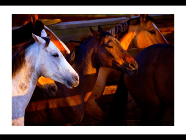 0969 • Sheridan, WY