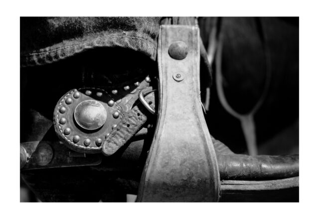 1000 • White Owl, SD