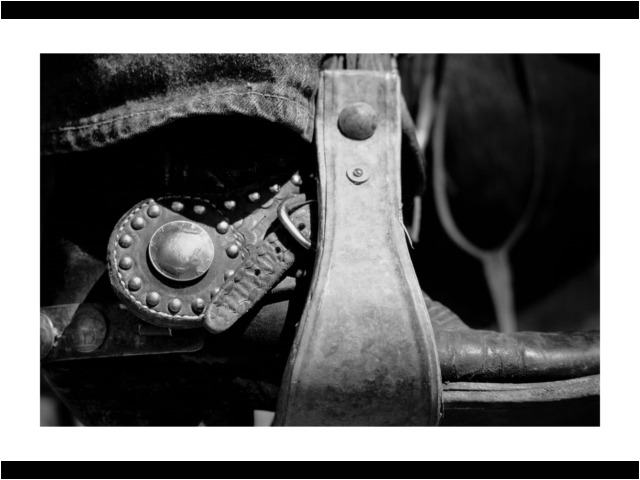 1000 • White Owl, SD