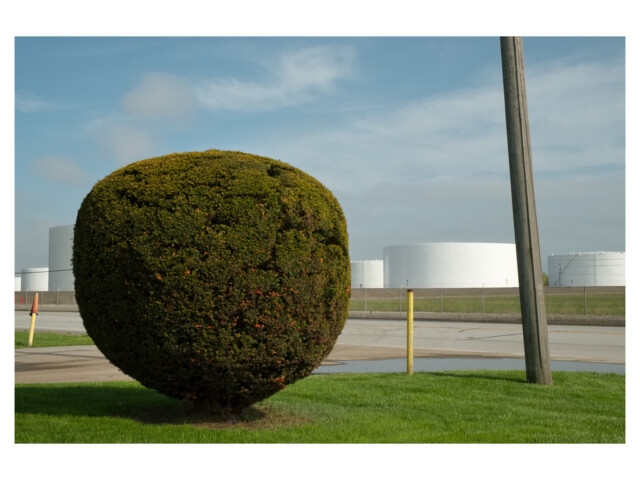 10184 • Gary, Indiana