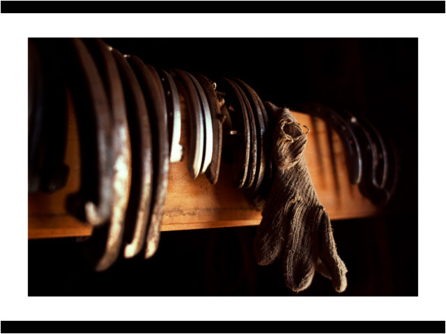 2009 • Red Owl, SD