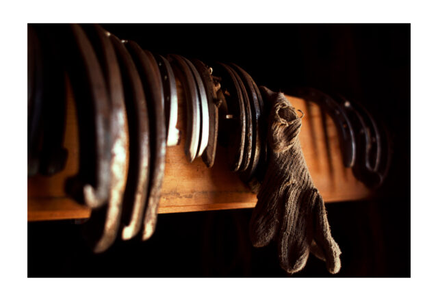 2009 • Red Owl, SD