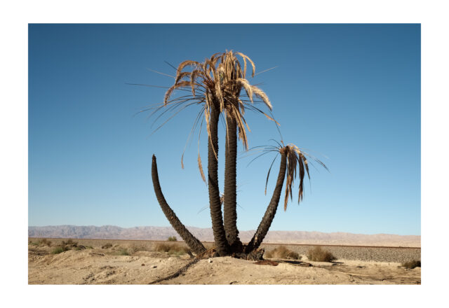 9914 • Thermal, California