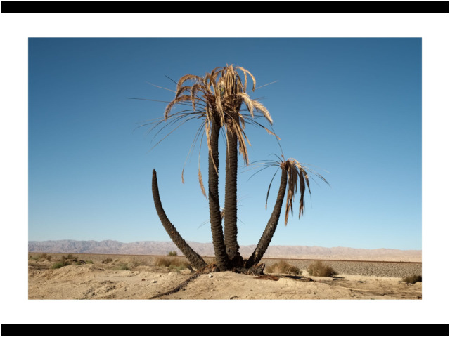 9914 • Thermal, California